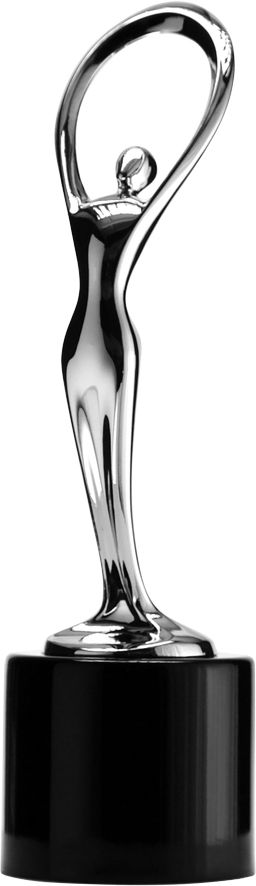 Communicator Award